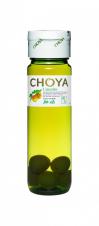 Choya - Plum Wine with Ume Fruit (750ml) (750ml)